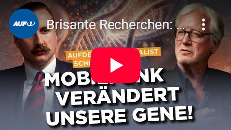 Scheidsteger Video
